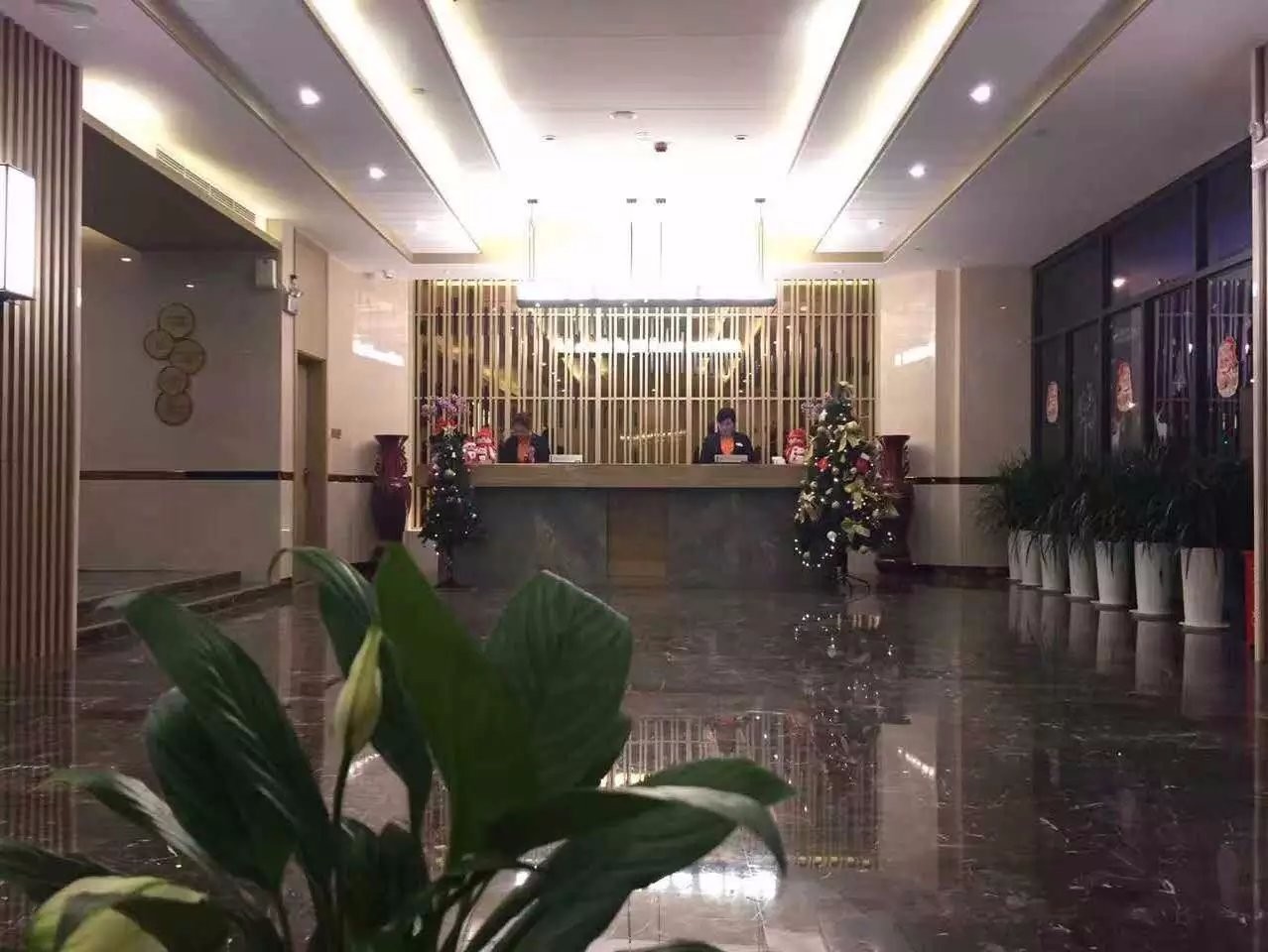 鄭東新區(qū)星級酒店中央空調(diào)項目